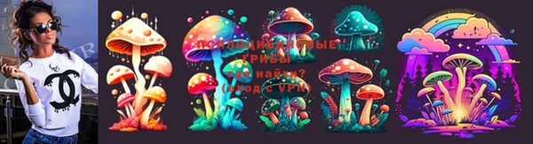 стафф Михайлов