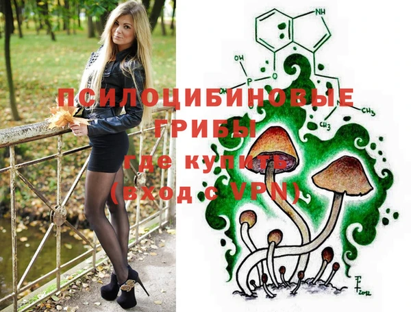 гашик Медвежьегорск