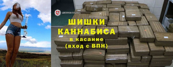 СК Медногорск