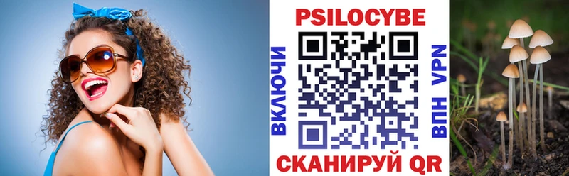 Псилоцибиновые грибы Psilocybine cubensis  купить  сайты  Болхов 